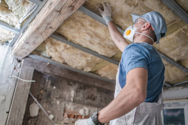 Types of Insulation We Offer in Minot, ND